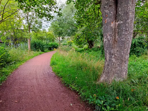 202308151-02 - Weg an der Hamel in Hameln, Weserbergland, Niedersachsen, Deutschland