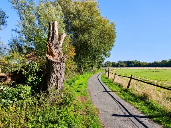 202210040-40 - Weg an der Oker bei Stöckheim, Niedersachsen, Deutschland