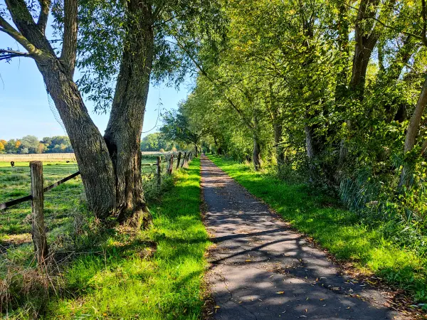 202210040-41 - Weg an der Oker bei Stöckheim, Niedersachsen, Deutschland