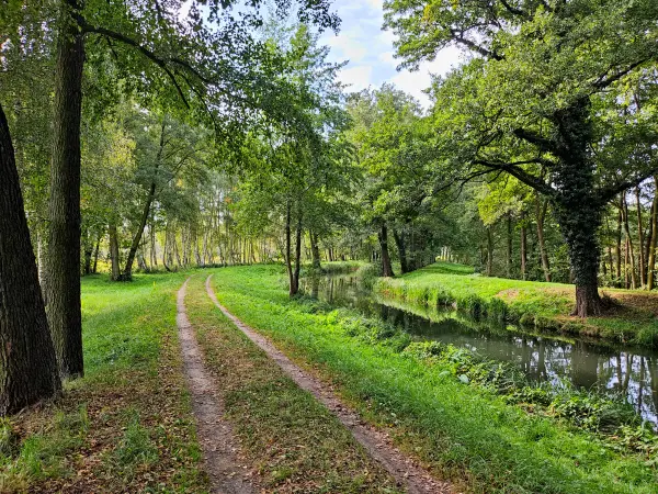 202310060-11 - Weg an der Radduscher Kahnfahrt bei Kaupen, Spreewald, Brandenburg, Deutschand