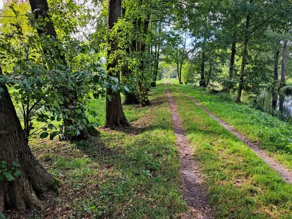 202310060-06 - Weg an der Radduscher Kahnfahrt bei Raddusch, Spreewald, Brandenburg, Deutschand