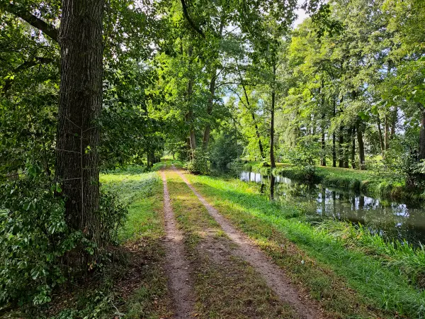 202310060-07 - Weg an der Radduscher Kahnfahrt bei Raddusch, Spreewald, Brandenburg, Deutschand