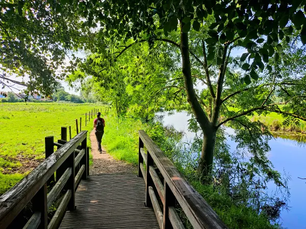 202308220-05 - Weg an der Schwinge bei Stade, Niedersachsen, Deutschland
