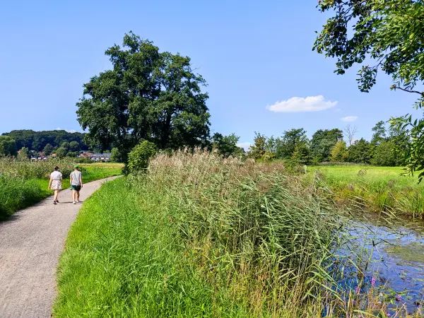 202308220-15 - Weg durch die Schwingewiesen bei Stade, Niedersachsen, Deutschland
