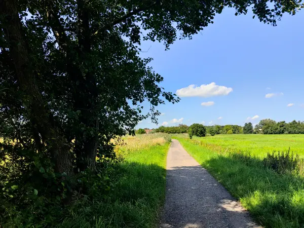 202308220-16 - Weg durch die Schwingewiesen bei Stade, Niedersachsen, Deutschland