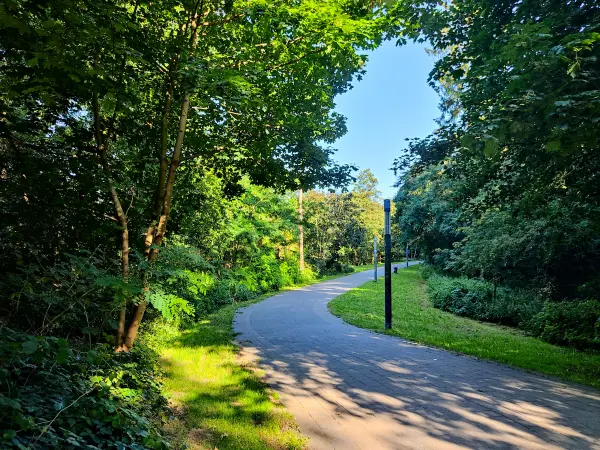 202308221-02 - Weg im Altonaer Volkspark in Altona, Hamburg, Deutschland