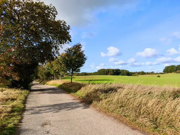 202310160-27 - Weg von Putbus nach Neuendorf, Rügen, Mecklenburg-Vorpommern, Deutschland