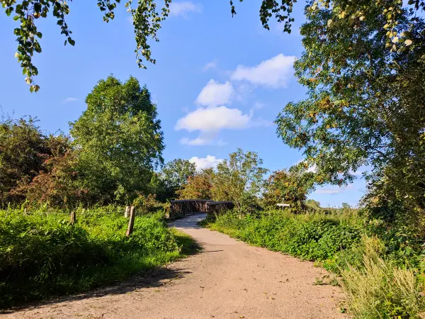 202309241-01 - Weg zur Boberger Niederung, Hamburg, Deutschland
