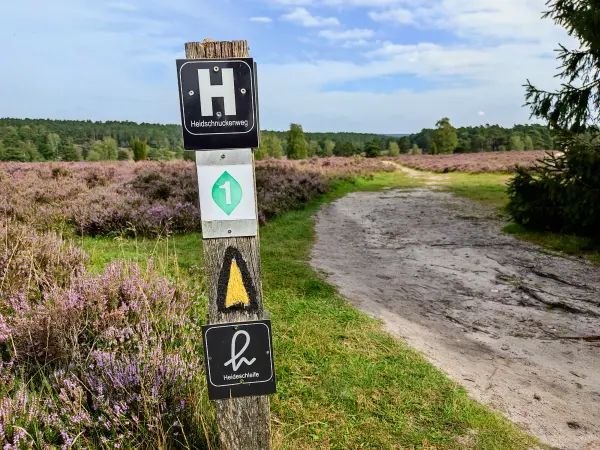202308240-45 - Wegmarkierungen im Büsenbachtal, Lüneburger Heide, Niedersachsen, Deutschland