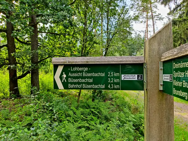 202308240-40 - Wegweiser am Büsenbachtal, Lüneburger Heide, Niedersachsen, Deutschland