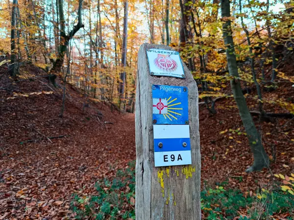 202511050-39 - Wegweiser am Radebachtal bei Blankenberg, Mecklenburgische Seenplatte, Mecklenburg-Vorpommern, Deutschland