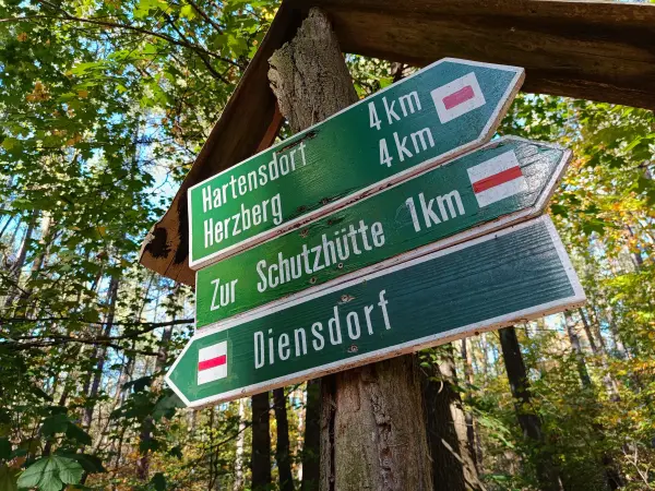 202610190-12 - Wegweiser bei Diensdorf, Seenland Oder-Spree, Brandenburg, Deutschland