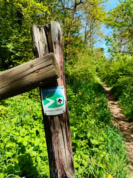202604240-01 - Wegweiser bei Iversheim, Eifel, Nordrhein-Westfalen, Deutschland