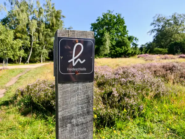 202308210-06 - Wegweiser bei Overhaverbeck, Lüneburger Heide, Niedersachsen, Deutschland