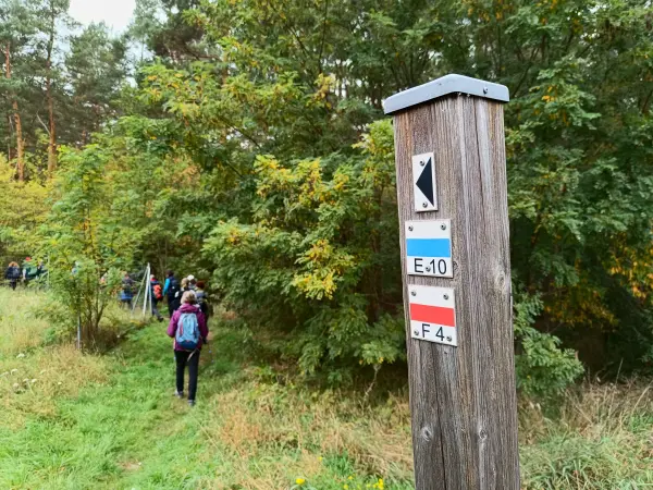 202510110-14 - Wegweiser bei Saarmund, Fläming, Brandenburg, Deutschland
