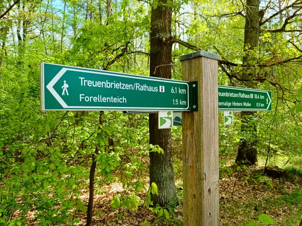 202505080-14 - Wegweiser bei Treuenbrietzen, Fläming, Brandenburg, Deutschland