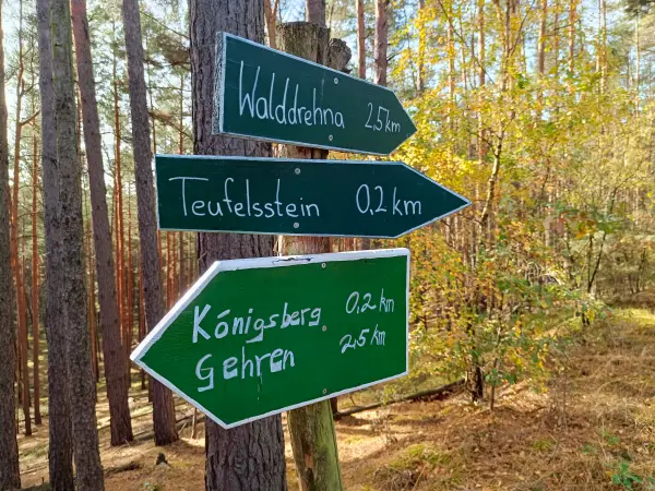 202610140-04 - Wegweiser bei Walddrehna, Lausitz, Brandenburg, Deutschland