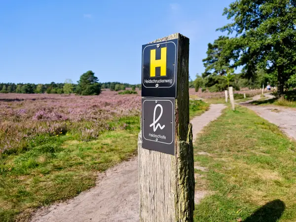 202308240-11 - Wegweiser im Büsenbachtal, Lüneburger Heide, Niedersachsen, Deutschland