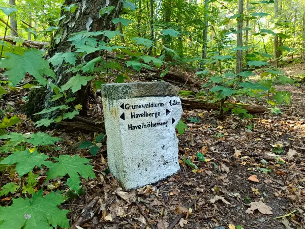 202509270-11 - Wegweiser im Grunewald, Berlin, Deutschland