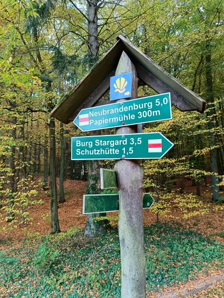 202510210-31 - Wegweiser im Lindetal bei Burg Stargard, Mecklenburgische Seenplatte, Mecklenburg-Vorpommern, Deutschland