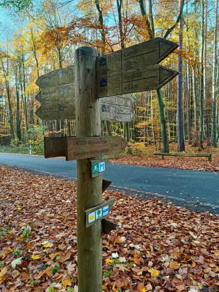 202511040-03 - Wegweiser im Müritz-Nationalpark bei Carpin, Mecklenburgische Seenplatte, Mecklenburg-Vorpommern, Deutschland