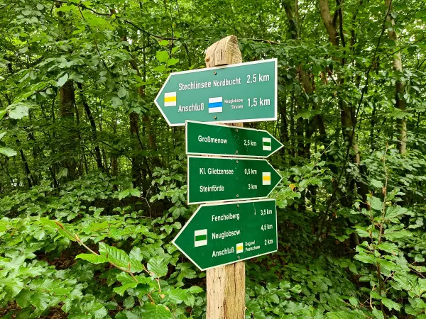 202509010-20 - Wegweiser im NSG Stechlin, Ruppiner Seenland, Brandenburg, Deutschland