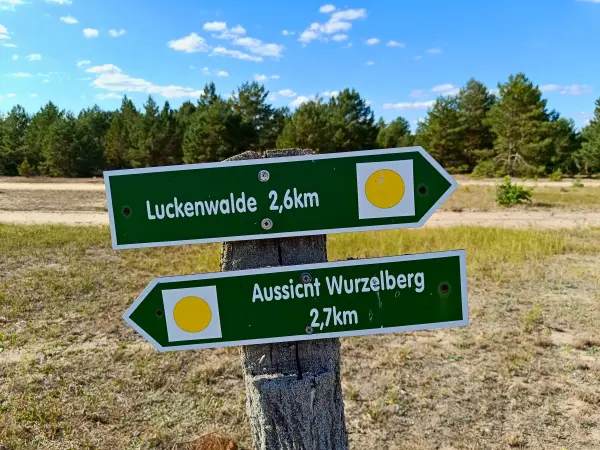 202508180-05 - Wegweiser im Wildnisgebiet Jüterbog bei Luckenwalde, Fläming, Brandenburg, Deutschland