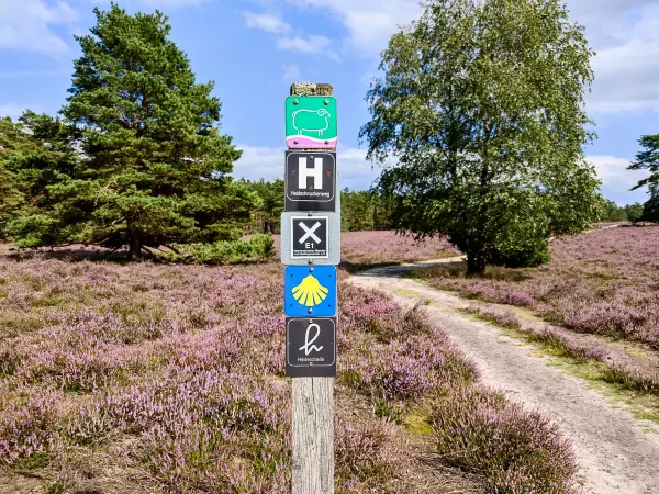202308140-08 - Wegweiser in der Misselhorner Heide bei Hermannsburg, Lüneburger Heide, Niedersachsen, Deutschland