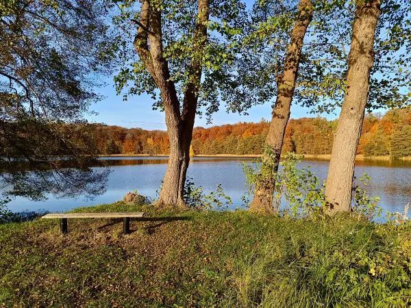 202511050-35 - Weißer See bei Weiße Krug, Mecklenburgische Seenplatte, Mecklenburg-Vorpommern, Deutschland