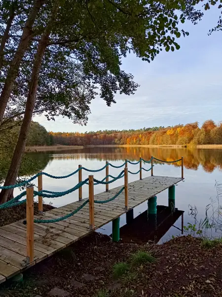 202511050-36 - Weißer See bei Weiße Krug, Mecklenburgische Seenplatte, Mecklenburg-Vorpommern, Deutschland