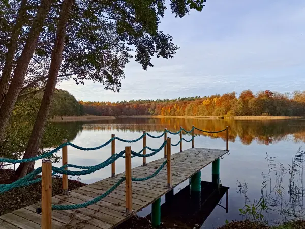 202511050-37 - Weißer See bei Weiße Krug, Mecklenburgische Seenplatte, Mecklenburg-Vorpommern, Deutschland