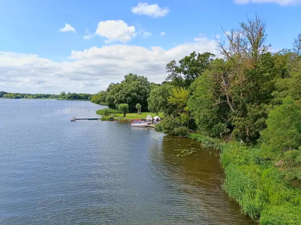 202507260-26 - Wendsee bei Plaue, Havelland, Brandenburg, Deutschland