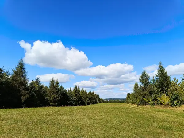 202508260-13 - Wiese auf der Insel Werder bei Alt Schwerin, Mecklenburgische Seenplatte, Mecklenburg-Vorpommern, Deutschland