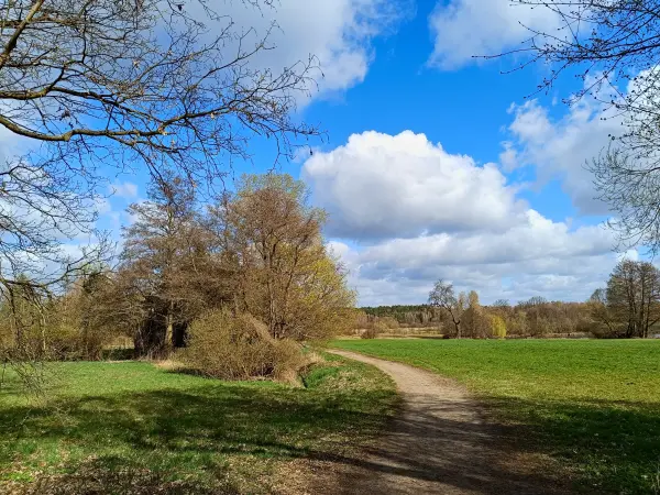 202604060-03 - Wiesen am Tegeler Fließ bei Lübars, Berlin, Deutschland