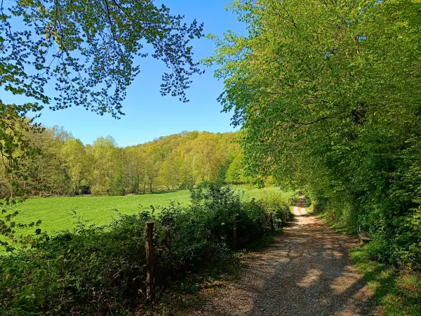 202604230-22 - Wiesen an der Düssel im Düsseltal, Bergisches Land, Nordrhein-Westfalen, Deutschland