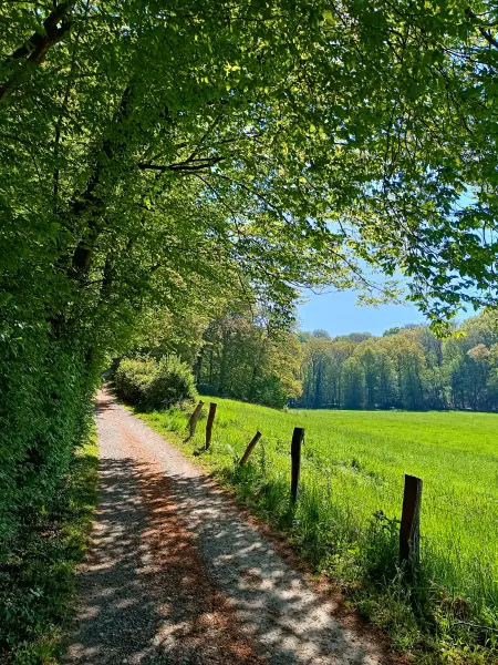 202604230-23 - Wiesen an der Düssel im Düsseltal, Bergisches Land, Nordrhein-Westfalen, Deutschland