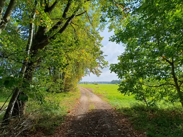 202610140-09 - Wiesenlandschaft bei Gehren, Lausitz, Brandenburg, Deutschland