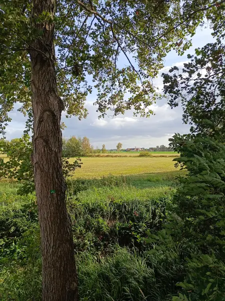 202610140-20 - Wiesenlandschaft bei Goßmar, Lausitz, Brandenburg, Deutschland