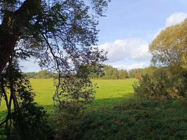 202610140-21 - Wiesenlandschaft bei Goßmar, Lausitz, Brandenburg, Deutschland
