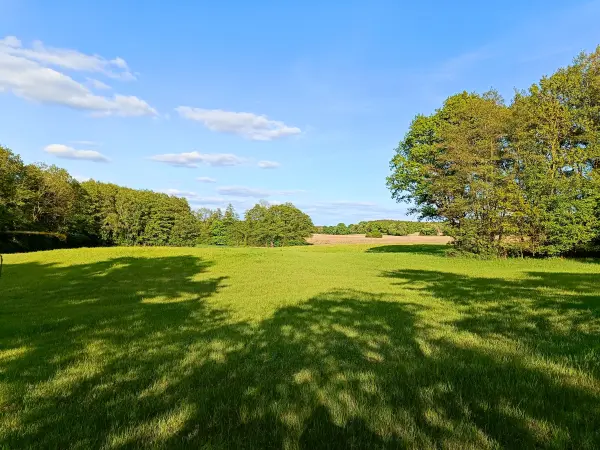202505130-26 - Wiesenlandschaft bei Pieversdorf, Mecklenburgische Seenplatte, Mecklenburg-Vorpommern, Deutschland