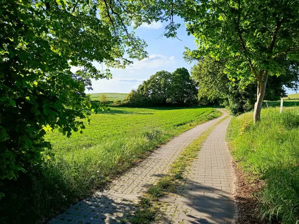 202505130-29 - Wiesenlandschaft bei Pieversdorf, Mecklenburgische Seenplatte, Mecklenburg-Vorpommern, Deutschland