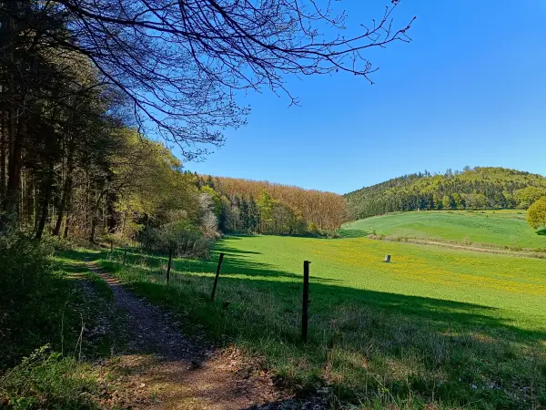 202604220-17 - Wiesental bei Vollem, Eifel, Nordrhein-Westfalen, Deutschland