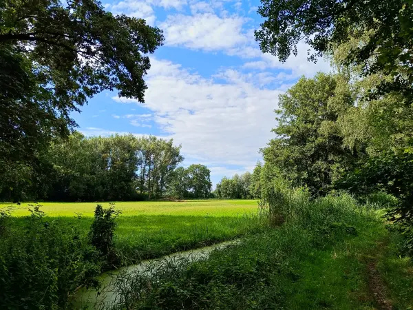 202507300-07 - Wiesenweg am Entenfang, Potsdam, Brandenburg, Deutschland