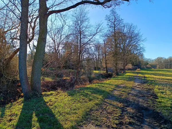 202512150-16 - Wiesenweg an der Kleinen Elster in Doberlug-Kirchhain, Elbe-Elster-Land, Brandenburg, Deutschland