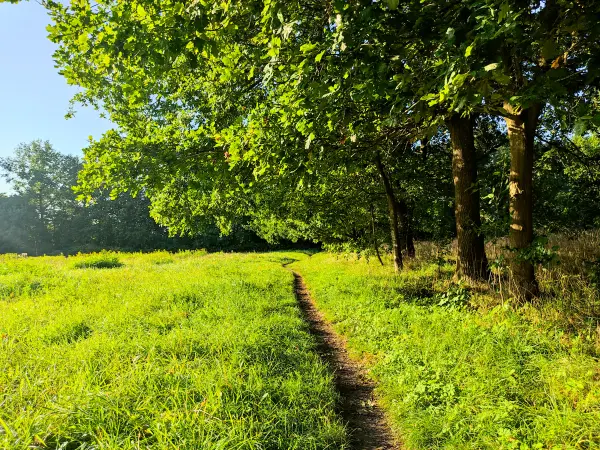 202309240-09 - Wiesenweg bei Henstedt-Ulzburg, Schleswig-Holstein, Deutschland