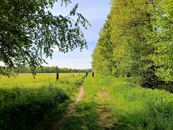 202505080-01 - Wiesenweg bei Treuenbrietzen, Fläming, Brandenburg, Deutschland