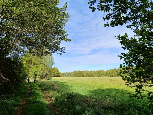 202505080-03 - Wiesenweg bei Treuenbrietzen, Fläming, Brandenburg, Deutschland