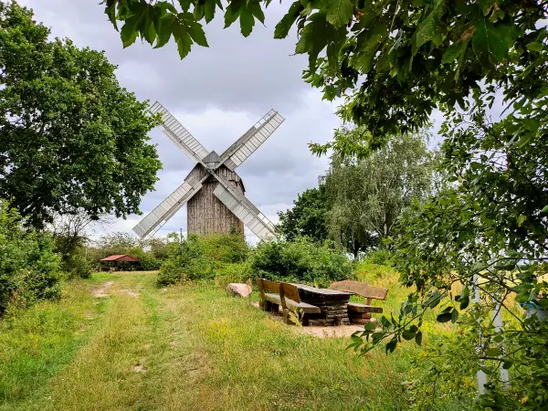 202308050-24 - Windmühle und Rastplatz bei Borne, Fläming, Brandenburg, Deutschland