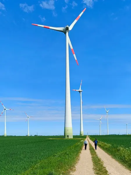 202505030-31 - Windräder bei Markee, Havelland, Brandenburg, Deutschland