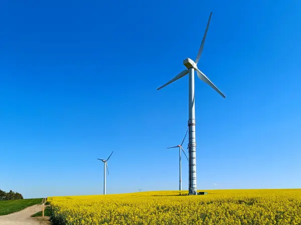 202604220-04 - Windräder und Rapsfeld bei Dottel, Eifel, Nordrhein-Westfalen, Deutschland